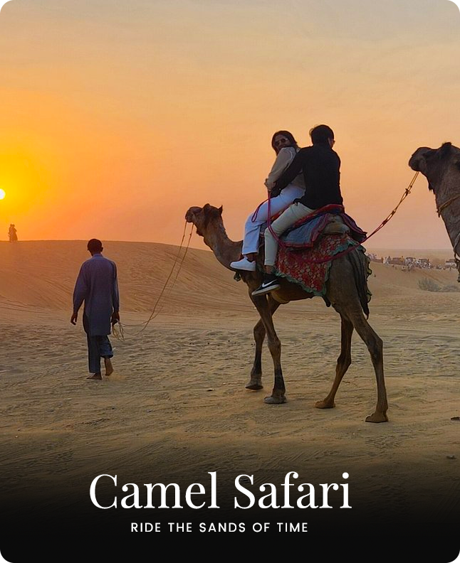 Camel Safari