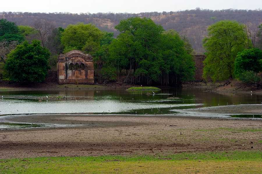 Ranthambore