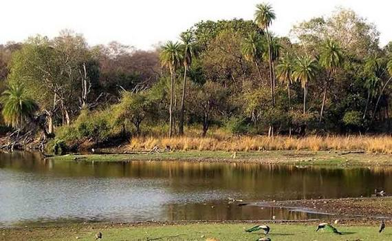 Ranthambore