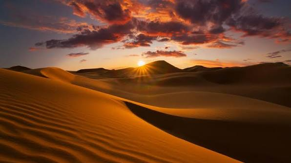 Best Time to Plan a Jaisalmer Desert Safari